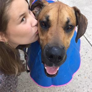 Meet your Posher, Elli